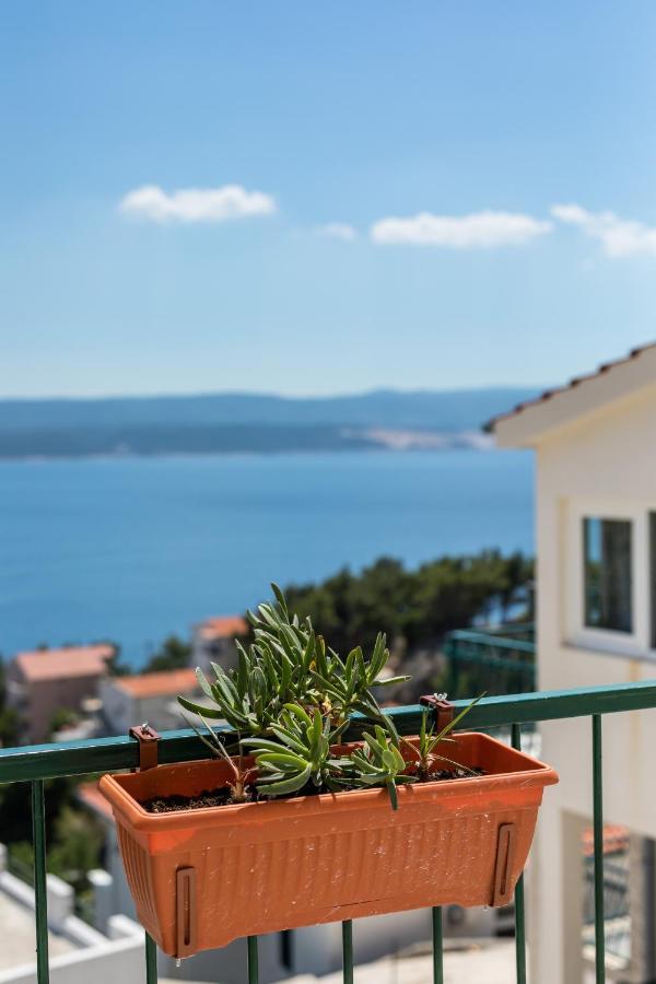 Waterview Apartments - Koru Apartment And Pool Мимице Экстерьер фото