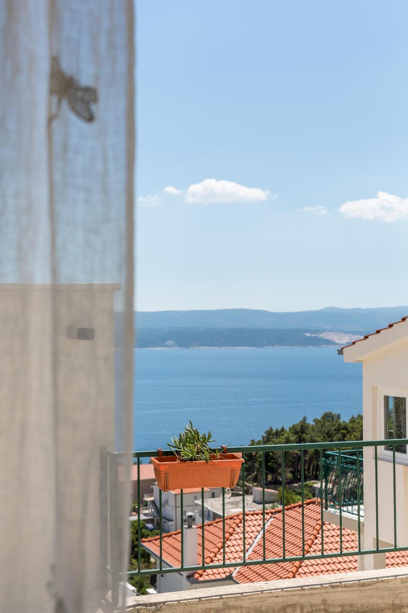 Waterview Apartments - Koru Apartment And Pool Мимице Экстерьер фото